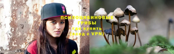 спиды Алексеевка
